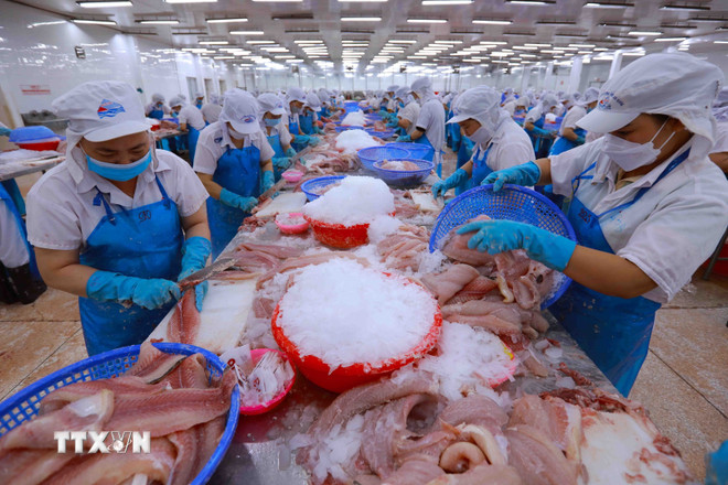 Góp ý dự thảo văn kiện Đại hội Đảng: Động lực mới nâng tầm vị thế Việt Nam- Ảnh 1.