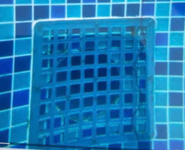 Tổng Lãnh sự quán Nhật Bản tại TPHCM gửi công hàm về vụ việc bé trai người Nhật đuối nước tại Phan Thiết- Ảnh 3. Tổng Lãnh sự quán Nhật Bản tại TPHCM gửi công hàm về vụ việc bé trai người Nhật đuối nước tại Phan Thiết- Ảnh 3.