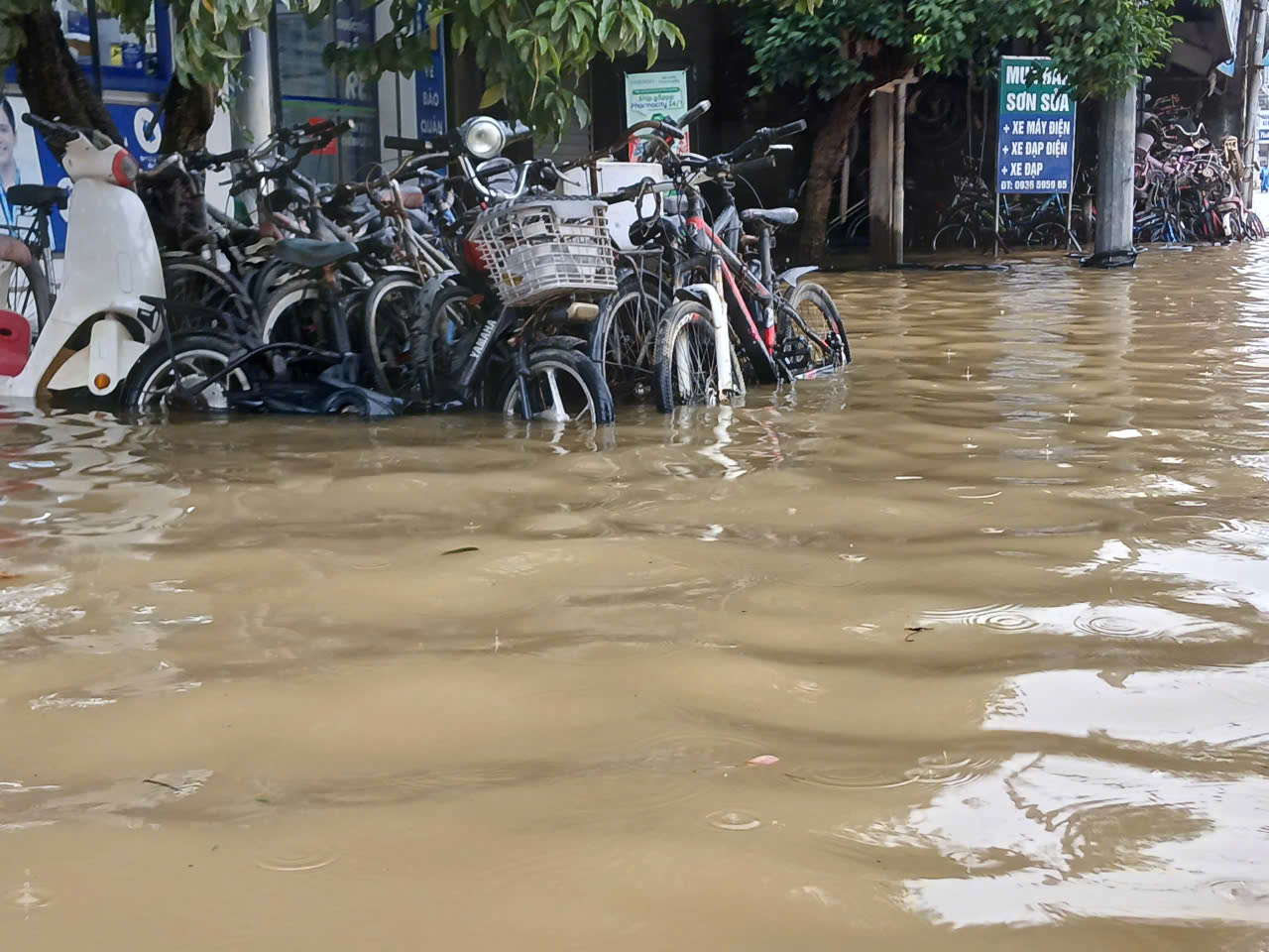 Một phường ở TP Huế ngập sâu đến 5m, hàng trăm hộ dân phải sơ tán khẩn cấp- Ảnh 1. Một phường ở TP Huế ngập sâu đến 5m, hàng trăm hộ dân phải sơ tán khẩn cấp- Ảnh 1.