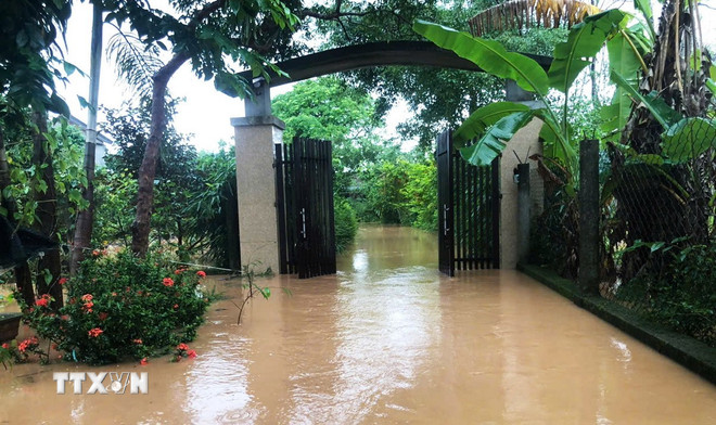 Quảng Trị: Người dân ở hạ lưu ven sông Thạch Hãn khẩn trương “chạy lũ”- Ảnh 1.