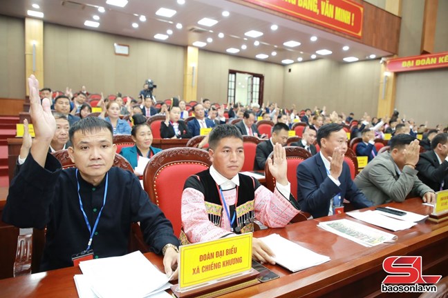 Bà Hà Thị Nga dự Đại hội đại biểu MTTQ Việt Nam tỉnh Sơn La lần thứ XVI, nhiệm kỳ 2025-2030- Ảnh 10. Bà Hà Thị Nga dự Đại hội đại biểu MTTQ Việt Nam tỉnh Sơn La lần thứ XVI, nhiệm kỳ 2025-2030- Ảnh 10.