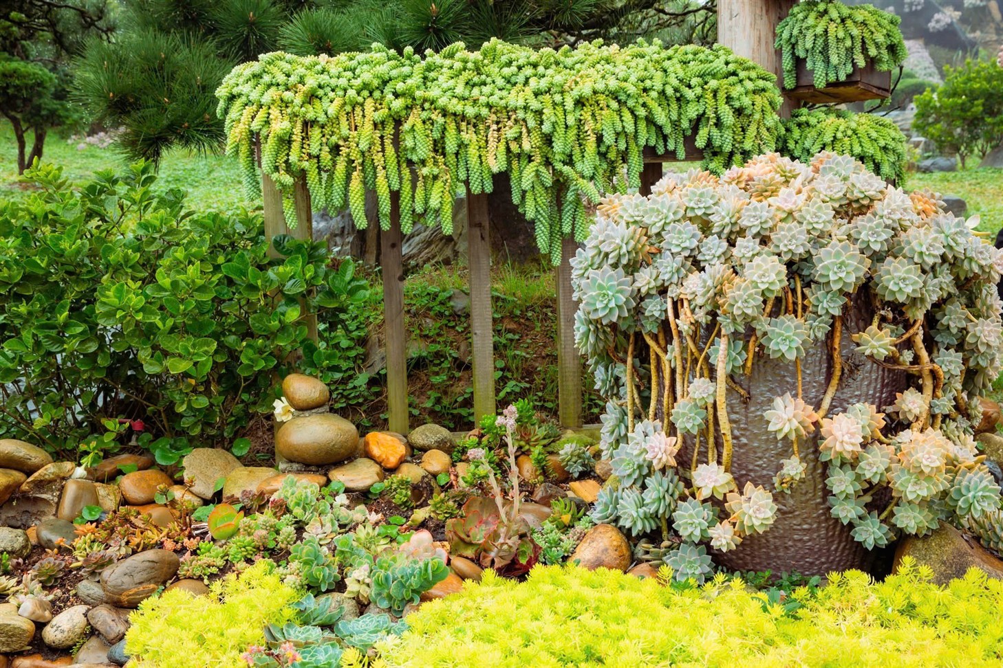 선월드 판시판 레전드가 라오까이 신규 거주자를 위한 Sun World Fansipan Legend tung ưu đãi “khủng” cho người dân Lào Cai mới- Ảnh 3.