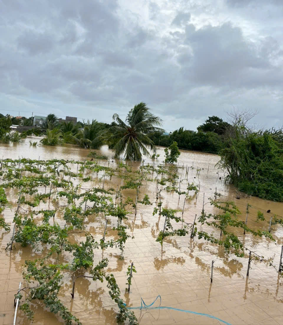 Đêm không ngủ ở Khánh Hòa giữa cơn lũ lịch sử- Ảnh 1.