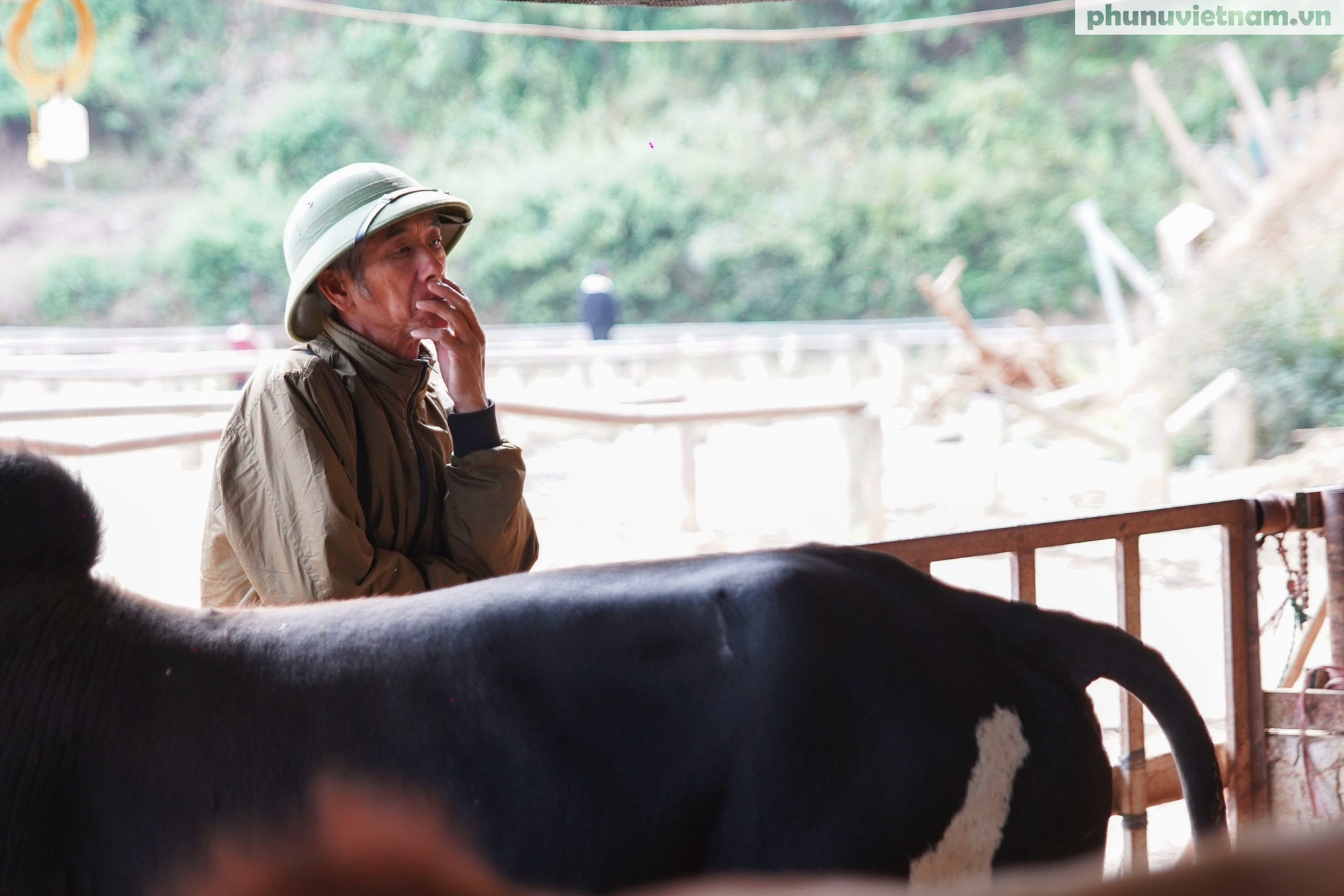 "Nhà nghỉ trâu bò" giữa đại ngàn và gánh mưu sinh của phụ nữ dân tộc- Ảnh 6.