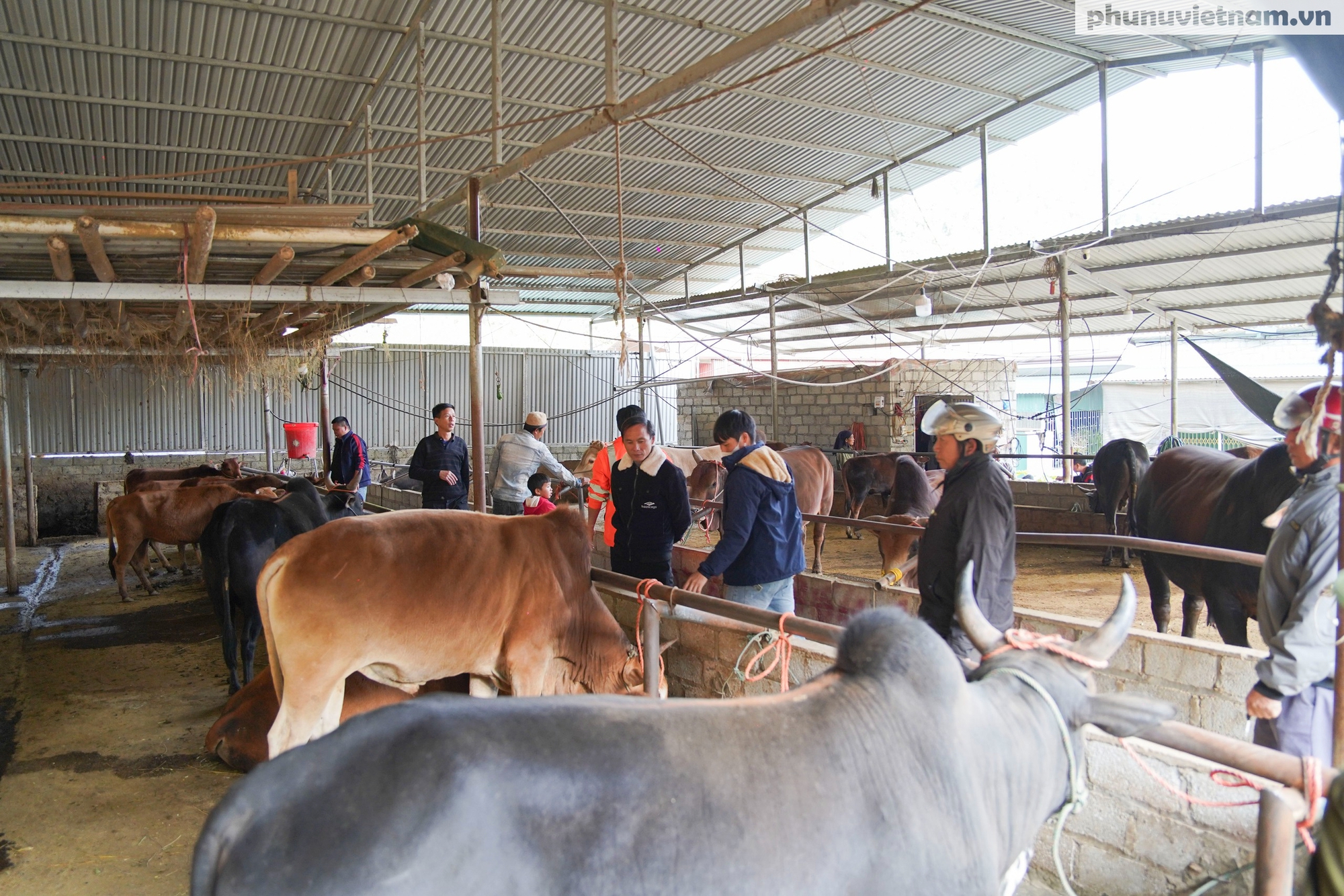 "Nhà nghỉ trâu bò" giữa đại ngàn và gánh mưu sinh của phụ nữ dân tộc- Ảnh 8.