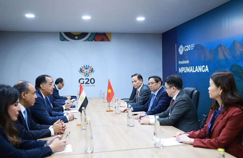 Thủ tướng đề xuất Việt Nam xuất khẩu ngành nông nghiệp sang Ai Cập- Ảnh 1.