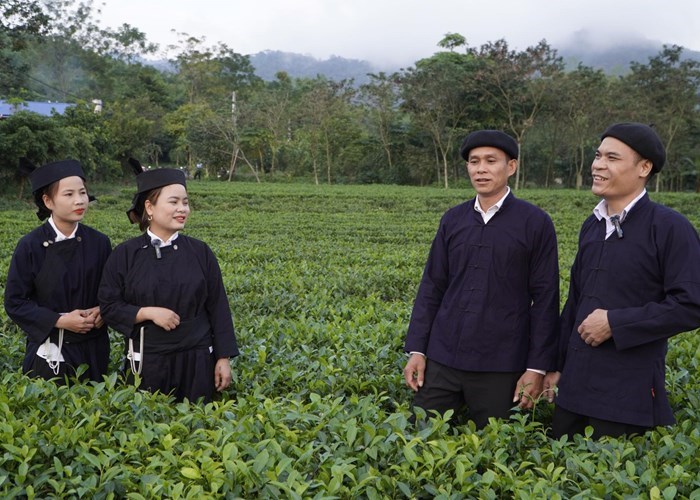 Đồng hành của chính quyền là nền tảng cho phát triển du lịch bền vững ở Thái Nguyên- Ảnh 2.