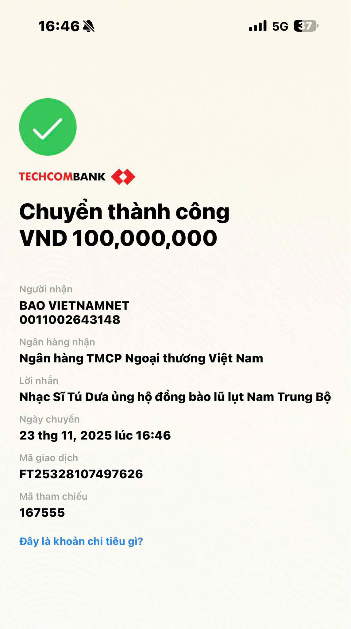 Nghệ sĩ hướng về tâm lũ miền Trung - Tây Nguyên- Ảnh 3. Nghệ sĩ hướng về tâm lũ miền Trung - Tây Nguyên- Ảnh 3.