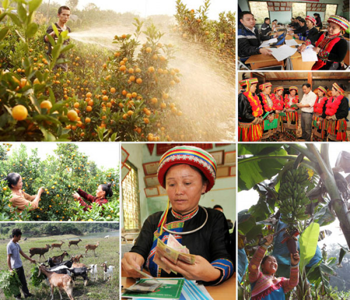 Chuyển đổi cơ cấu ngành nghề, mở ra hướng đi mới cho sản phẩm khu vực dân tộc thiểu số và miền núi- Ảnh 5.