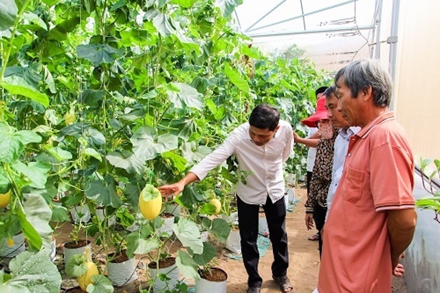 Bình đẳng giới - chìa khóa cho giảm nghèo bền vững ở Việt Nam- Ảnh 2. Bình đẳng giới - chìa khóa cho giảm nghèo bền vững ở Việt Nam- Ảnh 2.