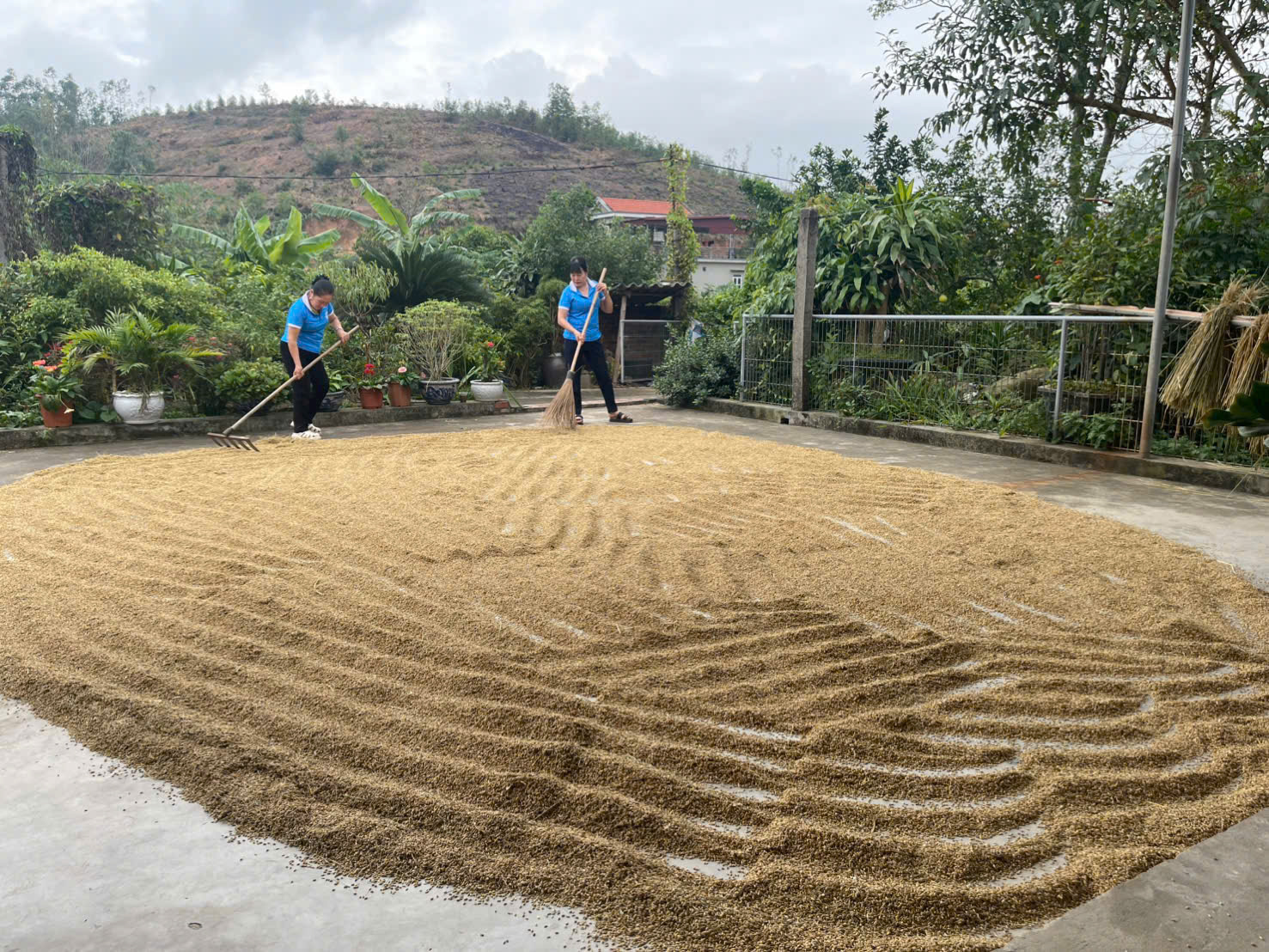 Hội LHPN Quảng Ninh: Dấu ấn nhiệm kỳ chuyển biến rõ nét từ cơ sở- Ảnh 7. Hội LHPN Quảng Ninh: Dấu ấn nhiệm kỳ chuyển biến rõ nét từ cơ sở- Ảnh 7.