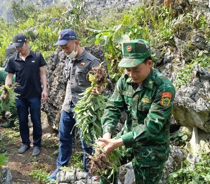 Bộ đội Biên phòng phối hợp với “Tổ truyền thông  cộng đồng” ở xã Sơn Vĩ, tỉnh Tuyên Quang, đi tuyên truyền vận động và triệt phá trồng cây thuốc phiện   Ảnh: Phạm Công Hoan