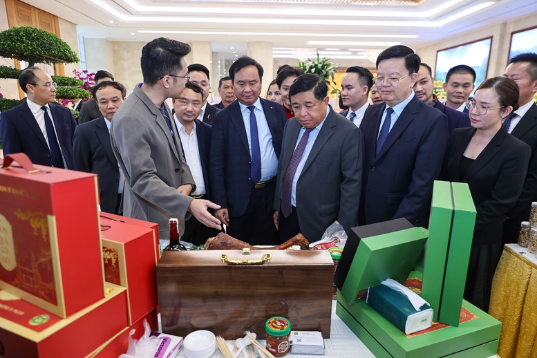 Liên kết hiệu quả giữa hợp tác xã và doanh nghiệp- Ảnh 1.