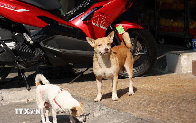 Hành vi cưỡng ép con học tập quá sức có thể bị phạt tới 10 triệu đồng- Ảnh 1.