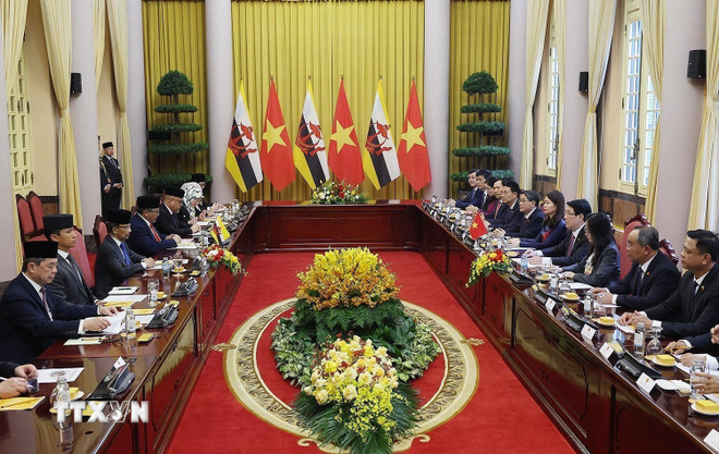 Tăng cường hiệu quả quan hệ Đối tác toàn diện Việt Nam-Brunei- Ảnh 1.