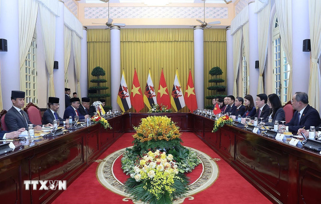 Tăng cường hiệu quả quan hệ Đối tác toàn diện Việt Nam-Brunei- Ảnh 2.