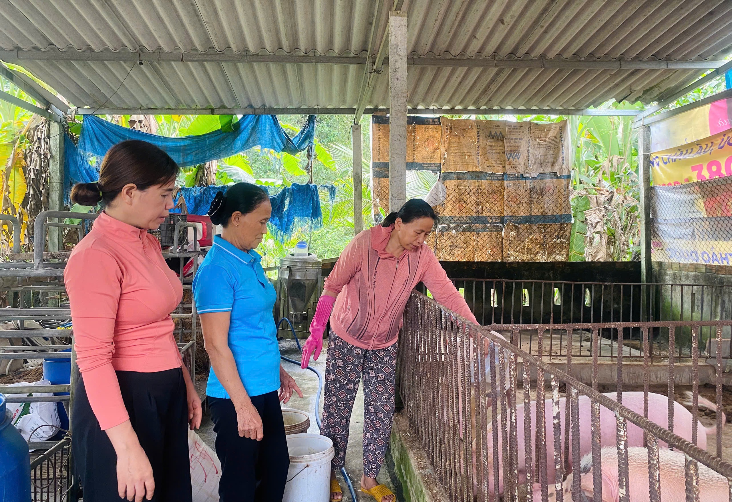 Hội LHPN tỉnh Quảng Ngãi: 10 dấu ấn nổi bật giai đoạn 2021-2025 - Ảnh 7. Hội LHPN tỉnh Quảng Ngãi: 10 dấu ấn nổi bật giai đoạn 2021-2025 - Ảnh 7.