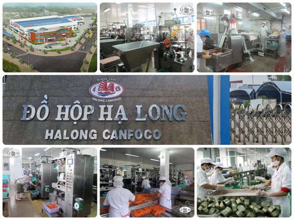 Halong Canfoco bán 5 triệu cổ phiếu giá thấp để huy động vốn cho dự án 166 tỷ đồng- Ảnh 1.