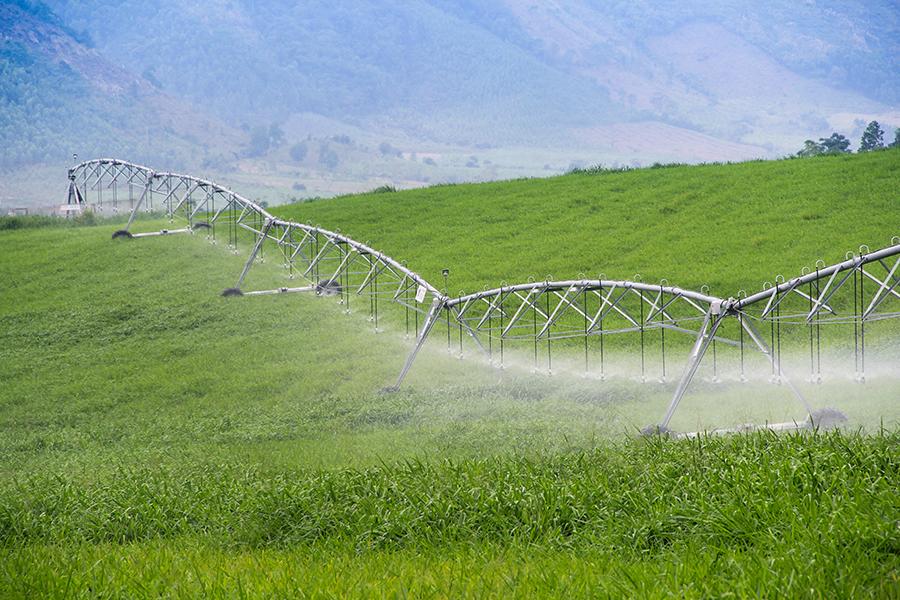 Tập đoàn TH: Dẫn dắt nông nghiệp công nghệ cao, lan tỏa đổi mới sáng tạo vì phát triển bền vững- Ảnh 4. Tập đoàn TH: Dẫn dắt nông nghiệp công nghệ cao, lan tỏa đổi mới sáng tạo vì phát triển bền vững- Ảnh 4.