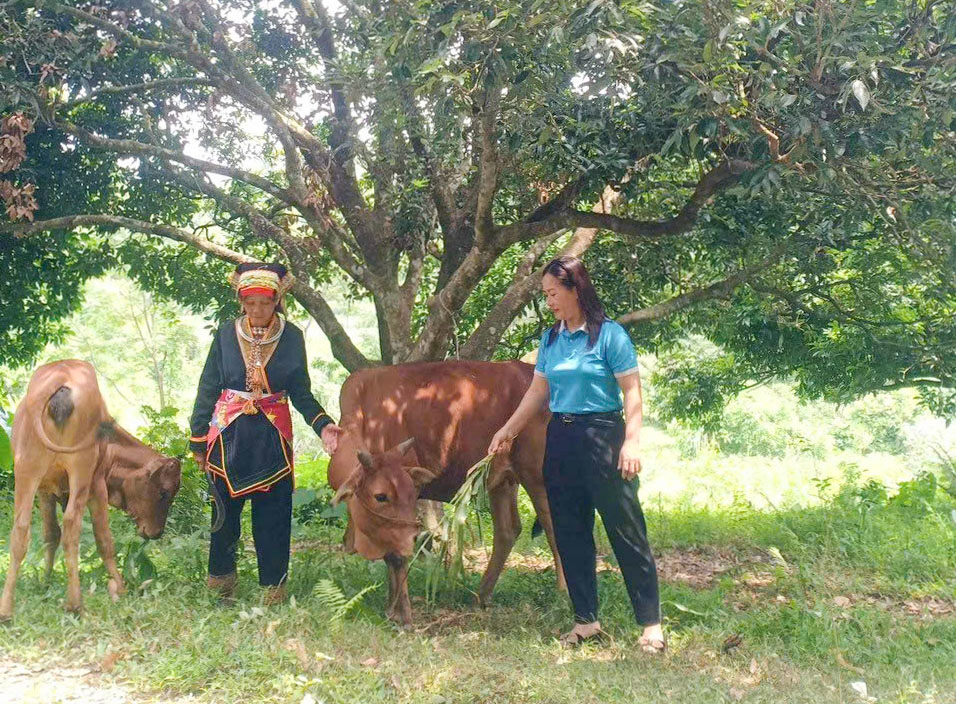 Thái Nguyên: Hội LHPN xã Dân Tiến đồng hành xóa “nghèo thông tin” khơi thông nguồn vốn ưu đãi- Ảnh 3. Thái Nguyên: Hội LHPN xã Dân Tiến đồng hành xóa “nghèo thông tin” khơi thông nguồn vốn ưu đãi- Ảnh 3.