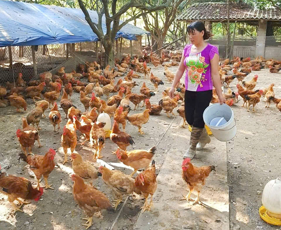 Thái Nguyên: Hội LHPN xã Dân Tiến đồng hành xóa “nghèo thông tin” khơi thông nguồn vốn ưu đãi- Ảnh 4. Thái Nguyên: Hội LHPN xã Dân Tiến đồng hành xóa “nghèo thông tin” khơi thông nguồn vốn ưu đãi- Ảnh 4.