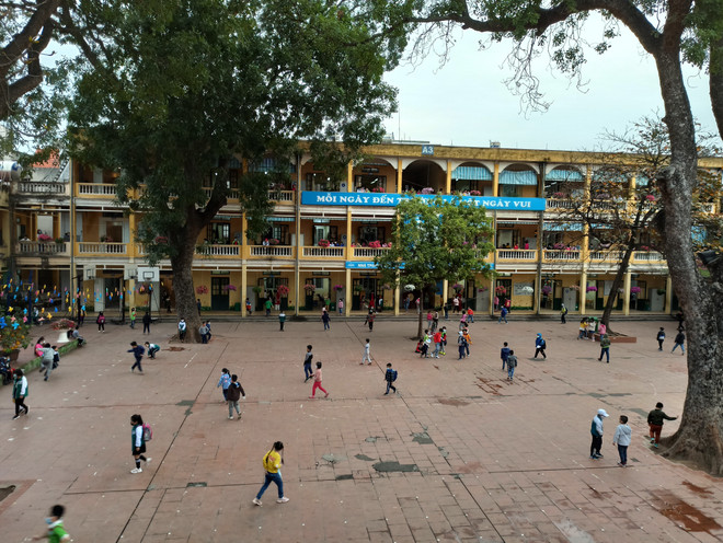 Bộ GD-ĐT: Không cắt giảm cơ học khi sắp xếp mạng lưới trường học- Ảnh 1.