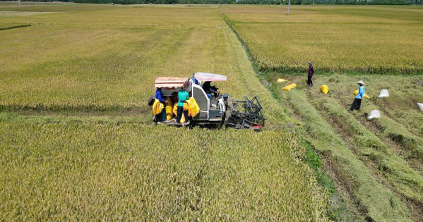 Dấu ấn cuộc hành trình 23 năm của tín dụng chính sách ở An Giang- Ảnh 3.