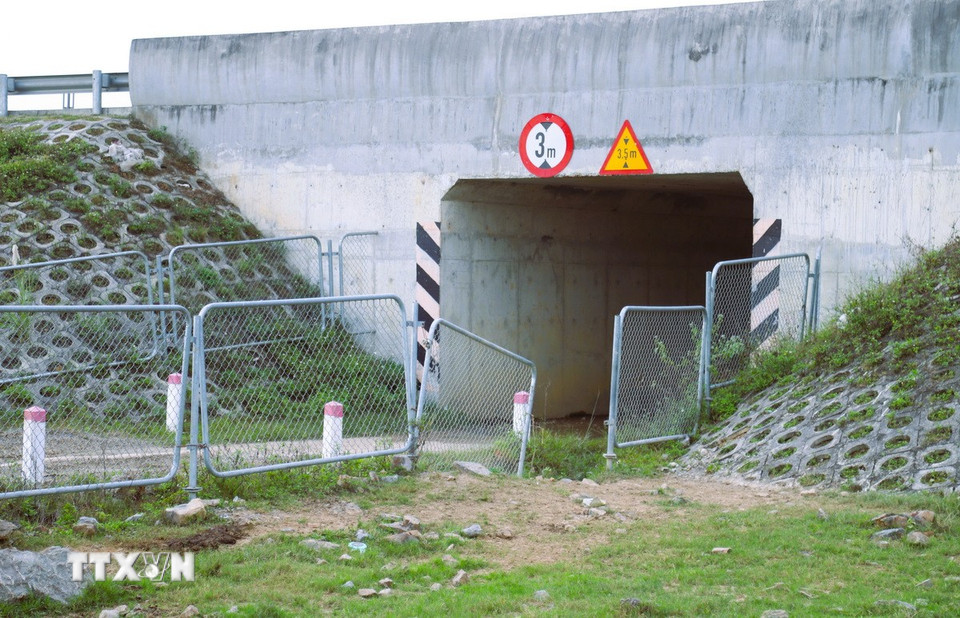 “Nóng” tình trạng phá rào, xâm phạm hành lang cao tốc Diễn Châu-Bãi Vọt- Ảnh 7.