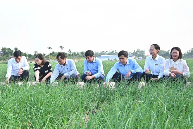 Kết nối nông sản Đồng bằng sông Hồng: Đảm bảo nguồn cung phục vụ thị trường Tết- Ảnh 2.