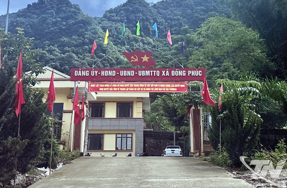 Phụ nữ cơ sở và hành trình giảm nghèo bền vững ở Thái Nguyên- Ảnh 2.