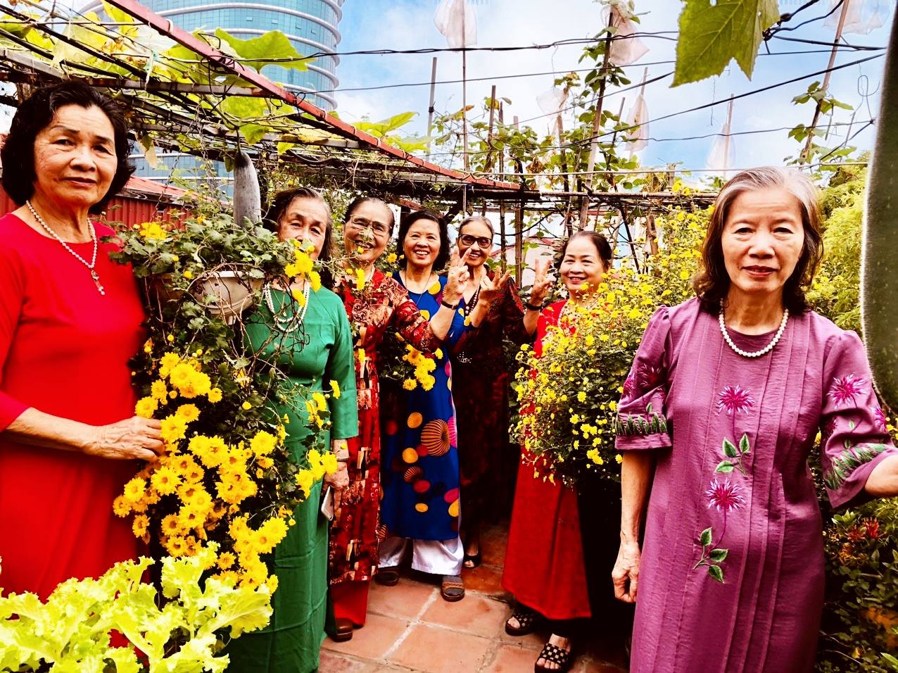 Tự làm trà hoa cúc "biếu cả họ" từ vườn trên sân thượng- Ảnh 5. Tự làm trà hoa cúc "biếu cả họ" từ vườn trên sân thượng- Ảnh 5.