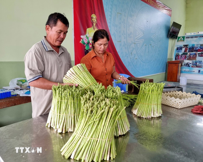 Ba Chương trình Mục tiêu Quốc gia tạo chuyển biến toàn diện vùng nông thôn- Ảnh 2.