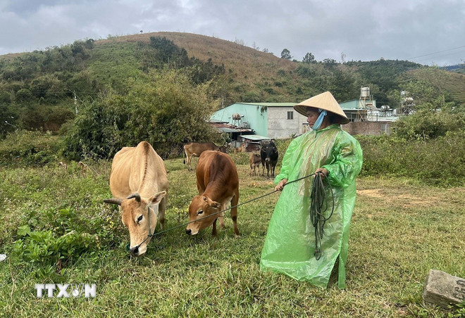 Ba Chương trình Mục tiêu Quốc gia tạo chuyển biến toàn diện vùng nông thôn- Ảnh 1.