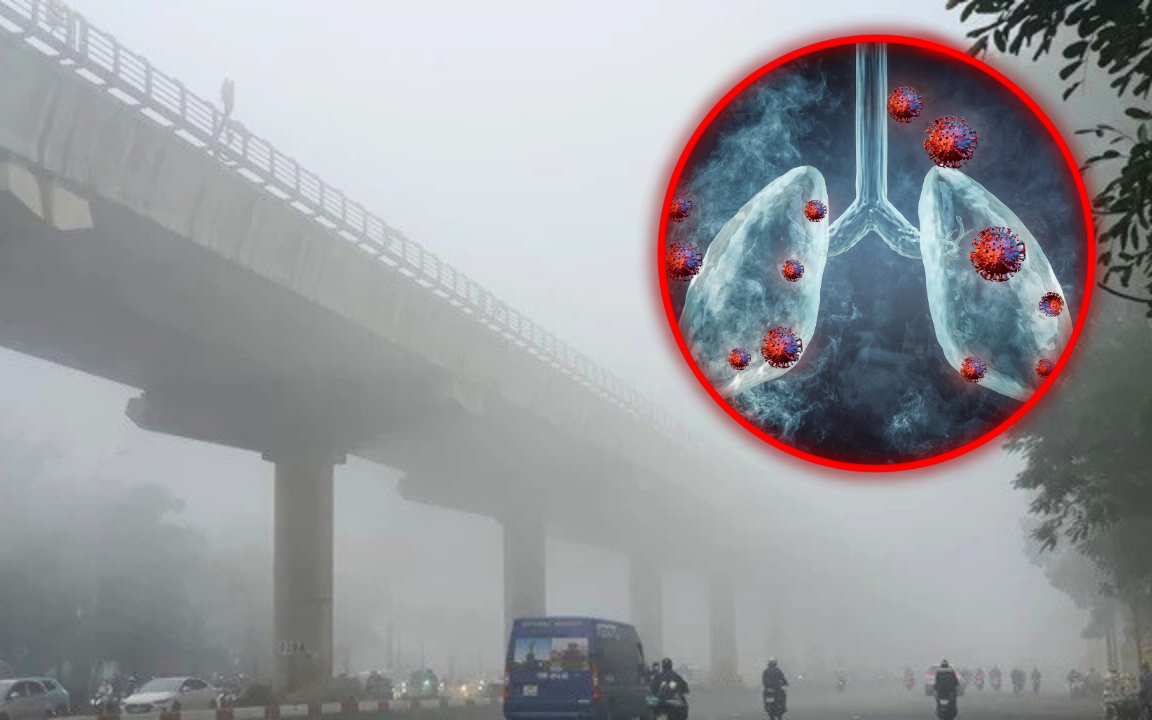 Chuyên gia cảnh báo: Bụi mịn là một trong những “thủ phạm” gây suy thận- Ảnh 3. Giải mã ô nhiễm bụi mịn