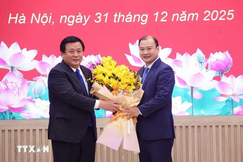 Ông Lê Hải Bình giữ chức Phó Giám đốc Học viện Chính trị Quốc gia Hồ Chí Minh- Ảnh 1.