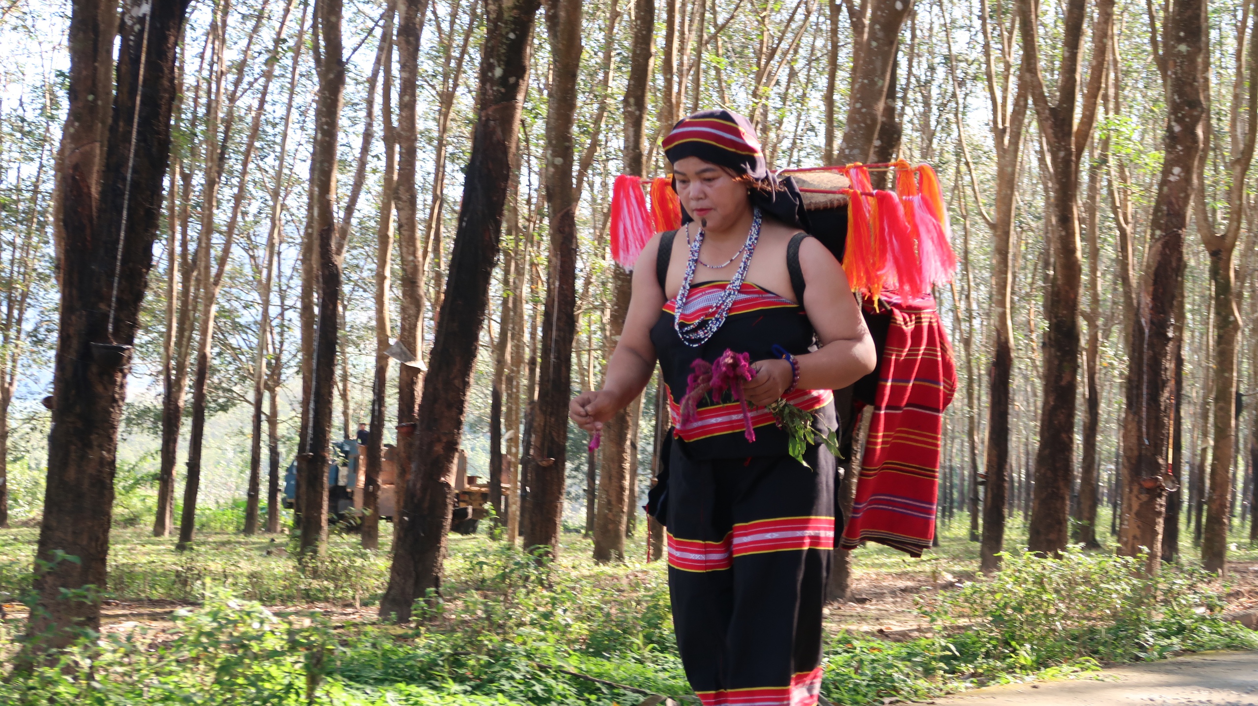 Tiếp nối mạch nguồn, phát huy giá trị văn hóa đồng bào Giẻ Triêng qua Lễ Mừng lúa mới- Ảnh 3. Tiếp nối mạch nguồn, phát huy giá trị văn hóa đồng bào Giẻ Triêng qua Lễ Mừng lúa mới- Ảnh 3.