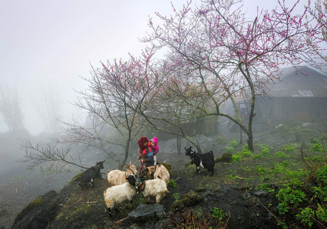 World Travel Awards vinh danh Cao nguyên đá Đồng Văn là điểm đến hàng đầu- Ảnh 1.
