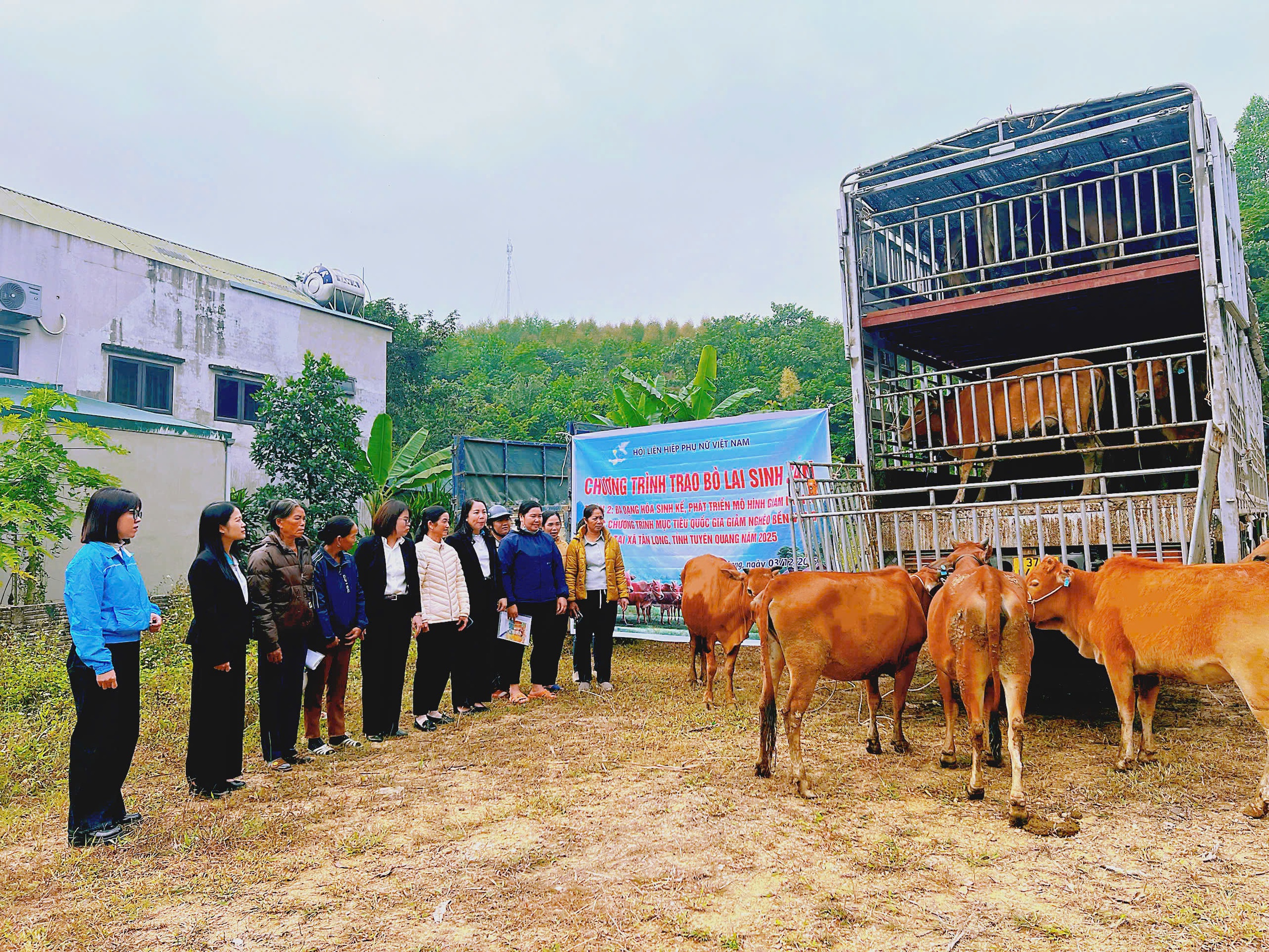 TƯ Hội LHPN Việt Nam hỗ trợ triển khai mô hình "Chăn nuôi bò lai sinh sản" cho phụ nữ khó khăn- Ảnh 1. TƯ Hội LHPN Việt Nam hỗ trợ triển khai mô hình "Chăn nuôi bò lai sinh sản" cho phụ nữ khó khăn- Ảnh 1.