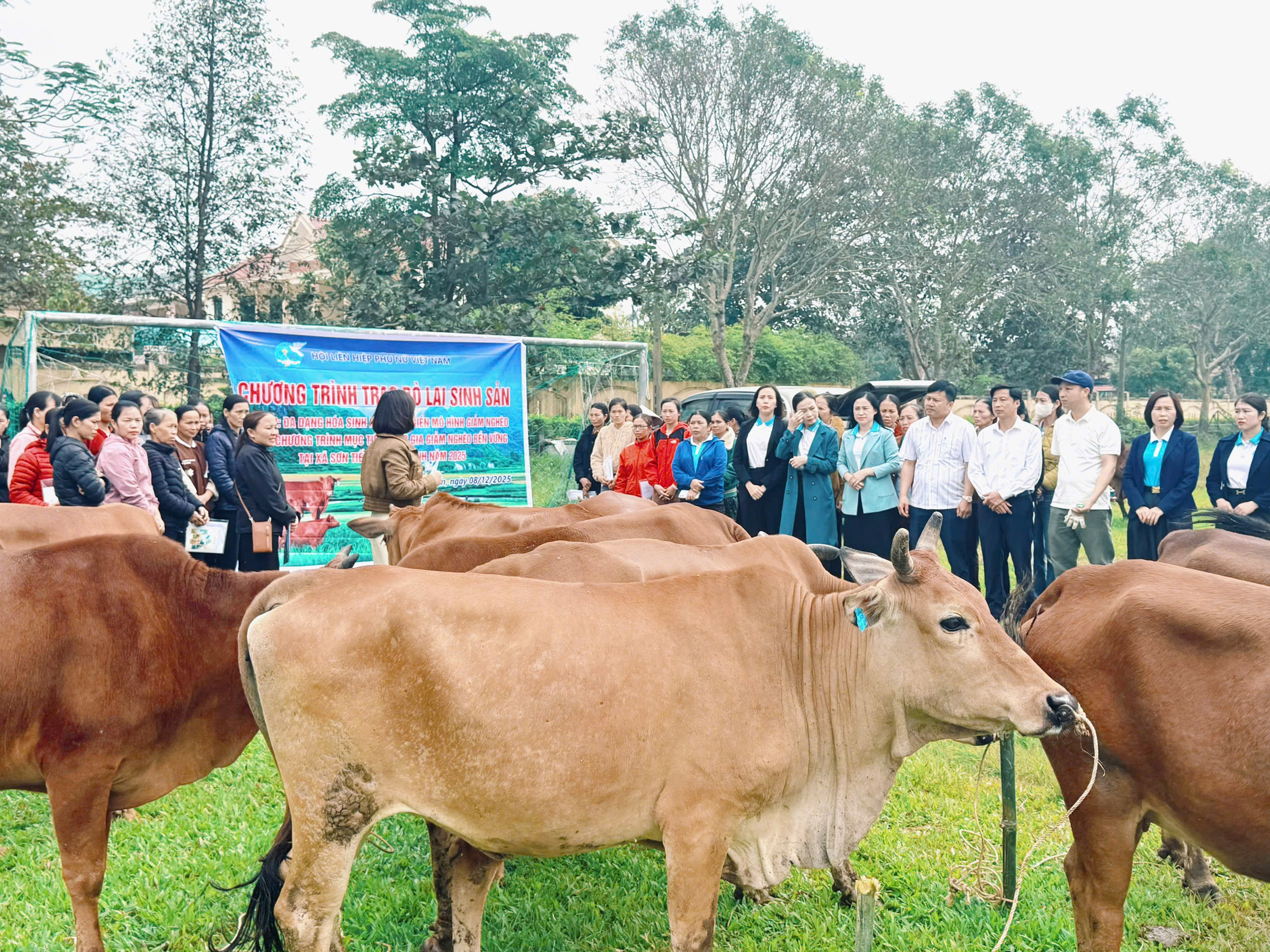 TƯ Hội LHPN Việt Nam hỗ trợ triển khai mô hình "Chăn nuôi bò lai sinh sản" cho phụ nữ khó khăn- Ảnh 2. TƯ Hội LHPN Việt Nam hỗ trợ triển khai mô hình "Chăn nuôi bò lai sinh sản" cho phụ nữ khó khăn- Ảnh 2.