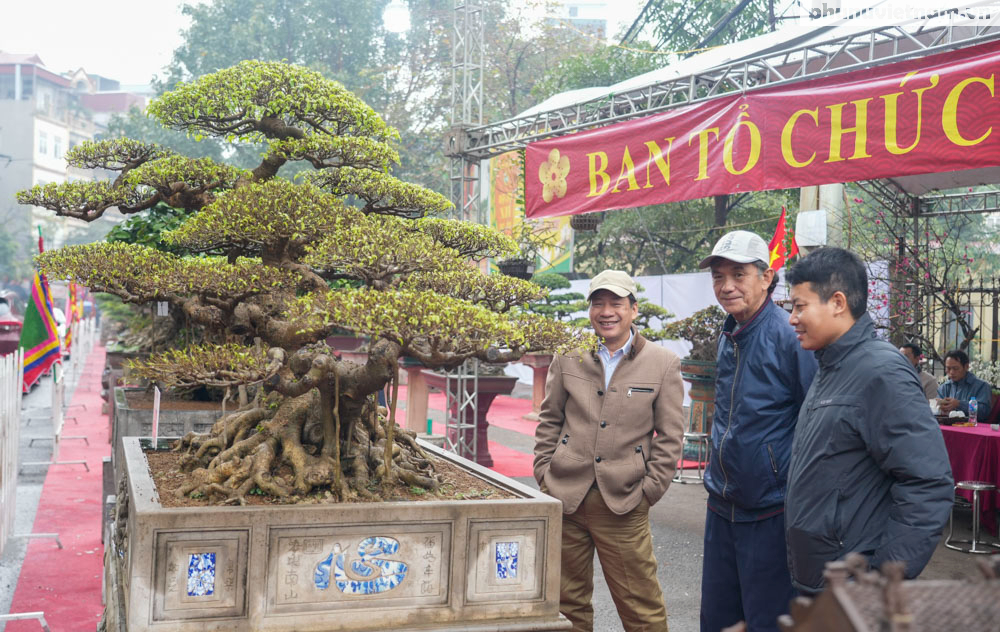 Chiêm ngưỡng 200 cây cảnh độc đáo của làng cổ Hà Nội, có cây giá lên đến cả tỷ đồng- Ảnh 3.