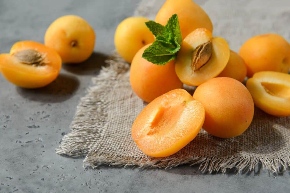 Mơ vào mùa, đừng bỏ lỡ các tác dụng tuyệt vời của quả mơ đối với sức khỏe- Ảnh 4. Mơ vào mùa, đừng bỏ lỡ các tác dụng tuyệt vời của quả mơ đối với sức khỏe- Ảnh 4.