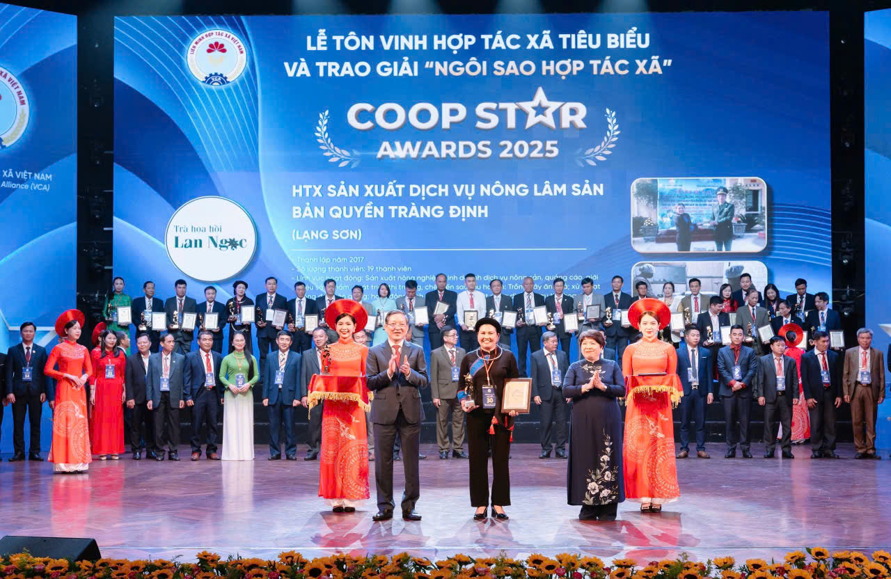 ランソンのスターアニスの原料地域の方向性がわかって嬉しいです - 写真4。 Hạnh phúc khi tìm được hướng đi cho vùng nguyên liệu hoa hồi ở xứ Lạng - Ảnh 4.