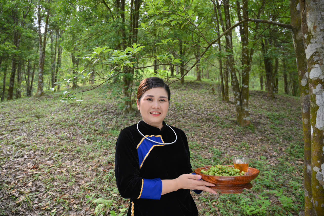 ランソンのスターアニスの原料地域の方向性がわかって嬉しいです - 写真2。 Hạnh phúc khi tìm được hướng đi cho vùng nguyên liệu hoa hồi ở xứ Lạng - Ảnh 2.