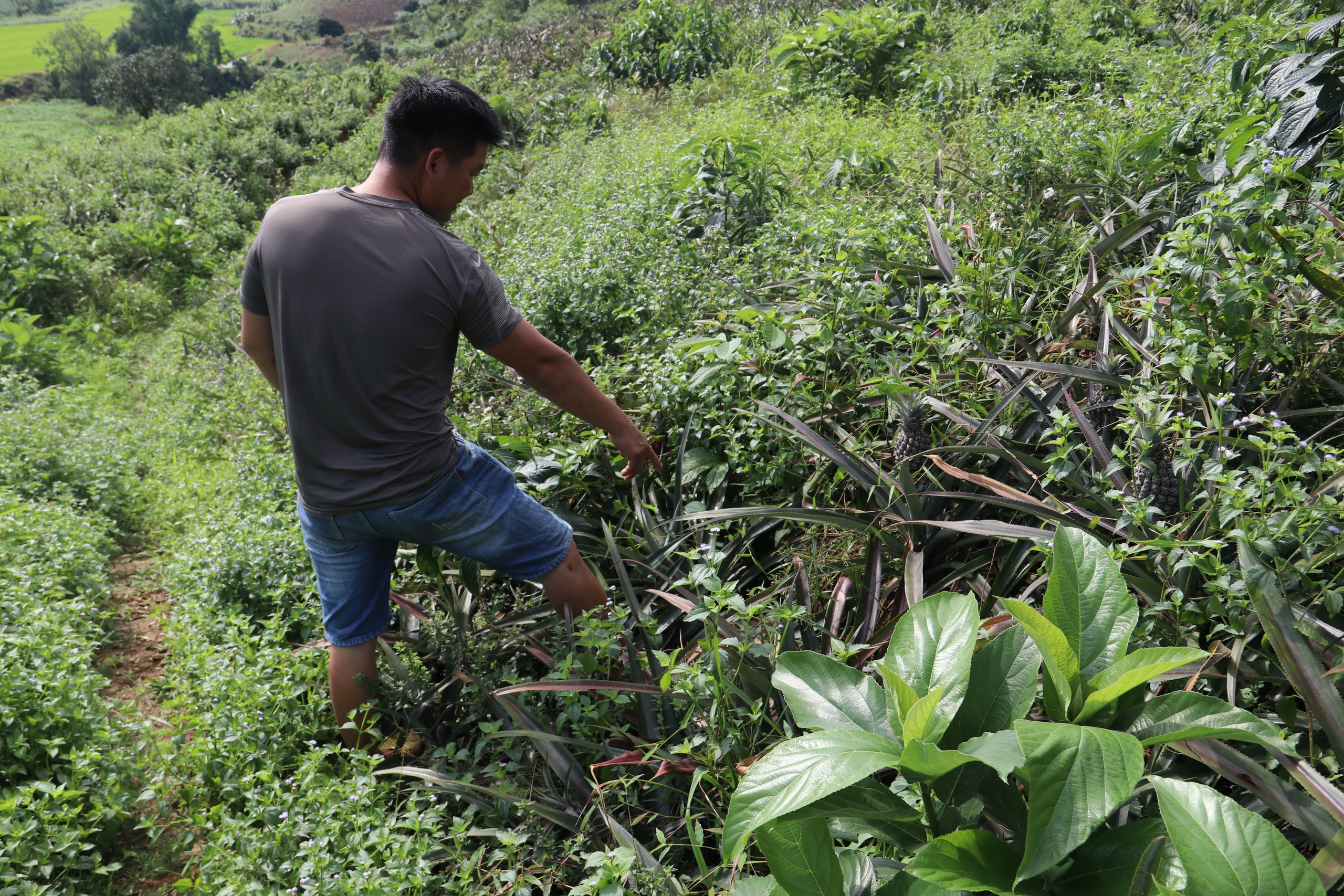 Lào Cai: Cả làng bất an vì sống bên bãi thải quặng - Ảnh 4.