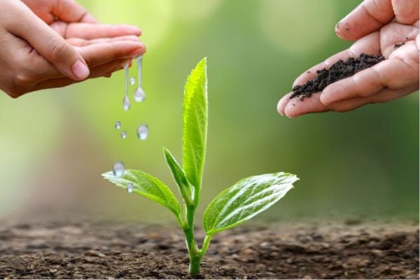 Sinh viên "trường Nhân văn" gieo mầm sống xanh từ những hành động nhỏ- Ảnh 1. Sinh viên "trường Nhân văn" gieo mầm sống xanh từ những hành động nhỏ- Ảnh 1.