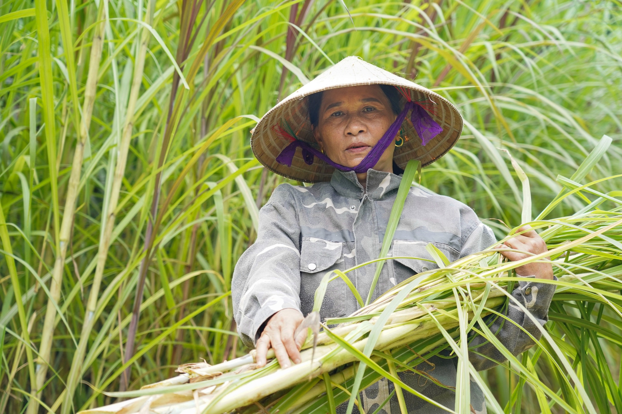 Biến thông tin thành "chìa khóa" mở ra cơ hội thoát nghèo bền vững cho phụ nữ- Ảnh 6. Biến thông tin thành "chìa khóa" mở ra cơ hội thoát nghèo bền vững cho phụ nữ- Ảnh 6.