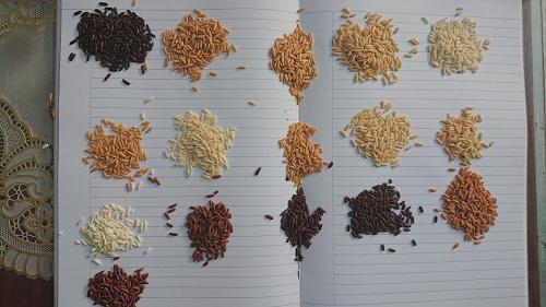 Người phụ nữ “vẽ” tương lai từ những hạt gạo Việt- Ảnh 1. Người phụ nữ “vẽ” tương lai từ những hạt gạo Việt- Ảnh 1.