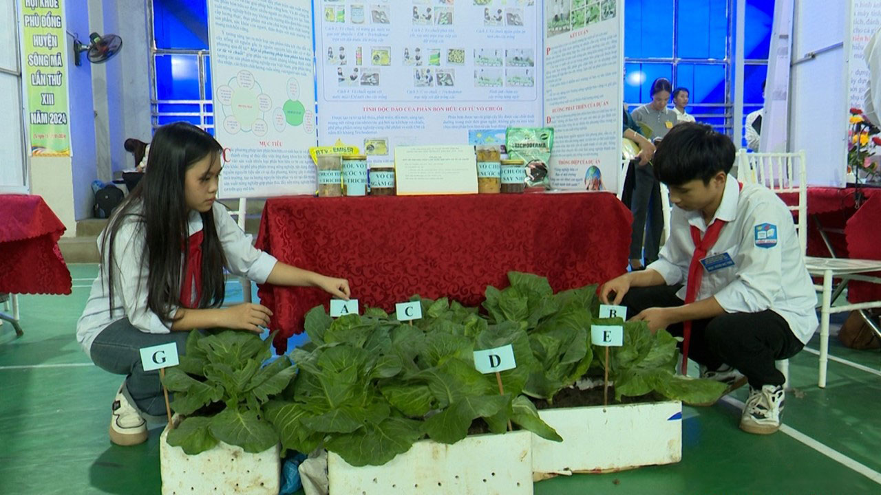 Song Ma: Främjar tillämpningen av digital transformation i undervisningen - Foto 1. Sông Mã: Đẩy mạnh ứng dụng chuyển đổi số trong công tác giảng dạy- Ảnh 1.