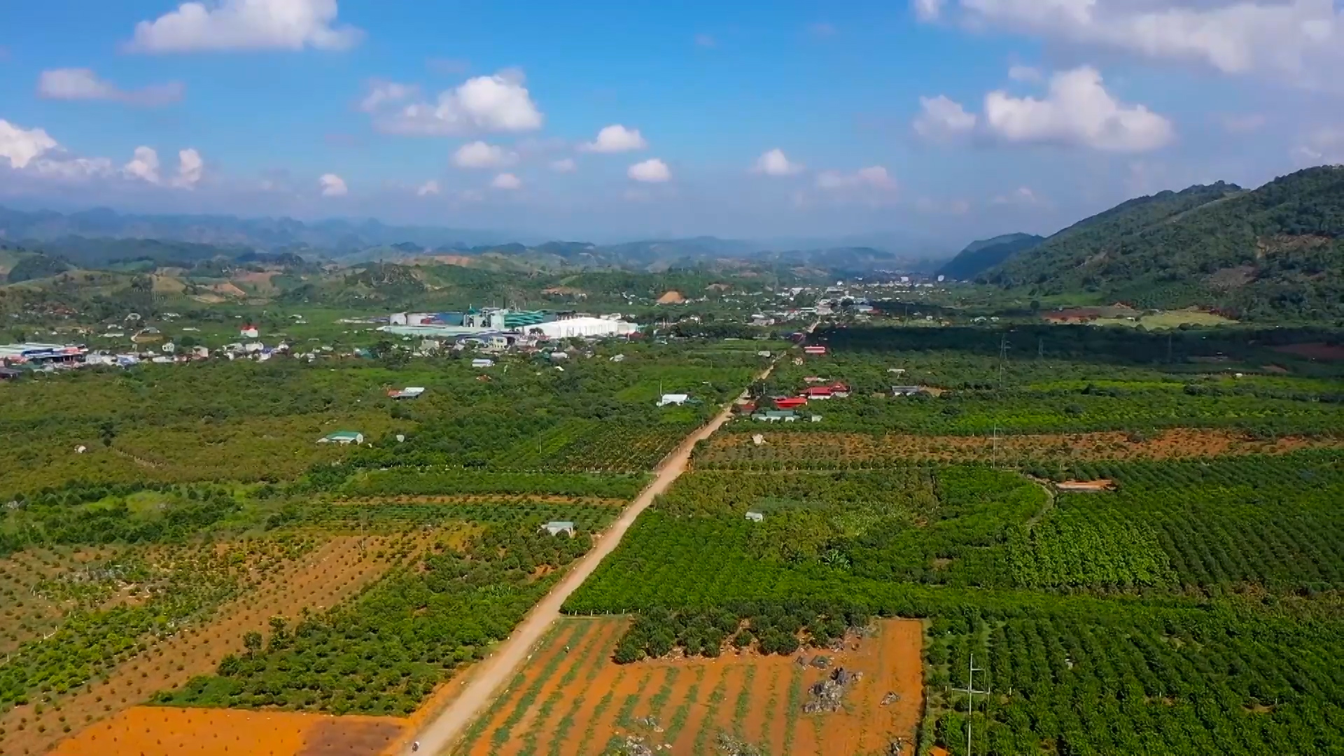 Mai Son (Son La)៖ ការលើកកម្ពស់កសិផលក្នុងស្រុកតាមរយៈការផ្សារភ្ជាប់ និងបច្ចេកវិទ្យា - រូបថត ១. Mai Sơn (Sơn La): Nâng tầm nông sản địa phương bằng liên kết và công nghệ- Ảnh 1.