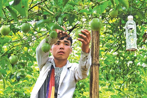Thanh niên dân tộc thiểu số từng bước gỡ bỏ những nút thắt cổ hủ- Ảnh 2. Thanh niên dân tộc thiểu số từng bước gỡ bỏ những nút thắt cổ hủ- Ảnh 2.